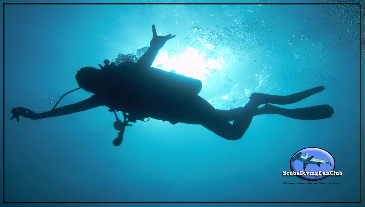 Diving picture of Guardalavaca, Cuba