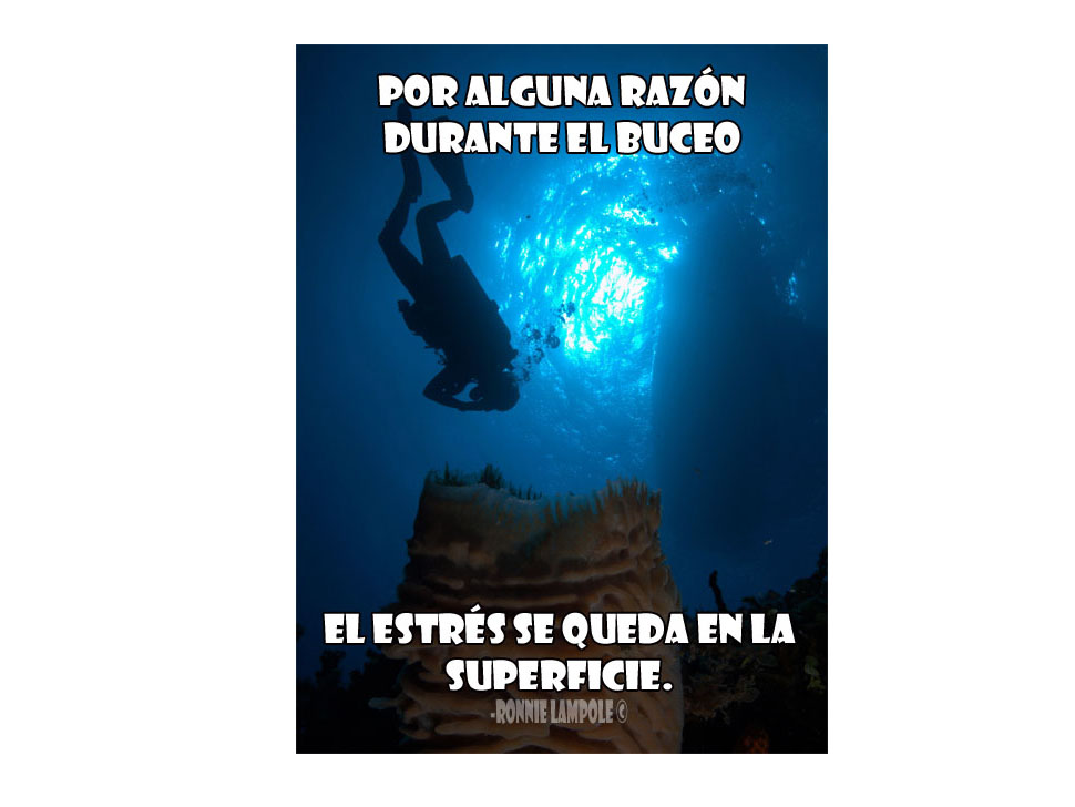 Frases y Citas de Buceo