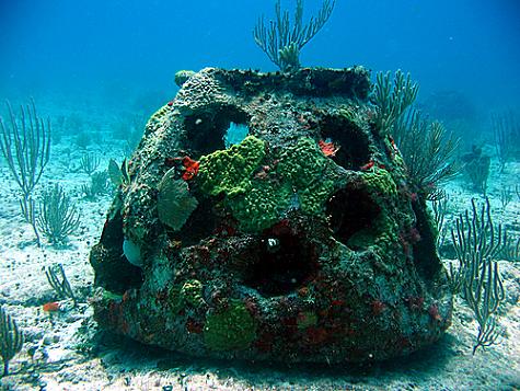 Ball Reef